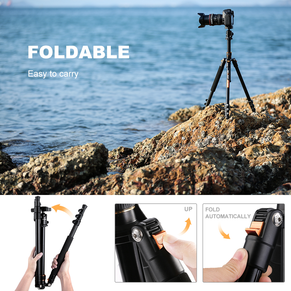 Treppiede Reflex K&f Concept Tm2324 Cavalletto compatta fotografico Oro (oro) | Acquisti Online su